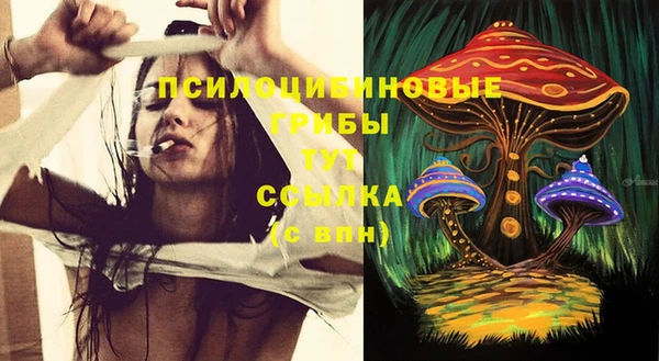 MDMA Premium VHQ Карпинск