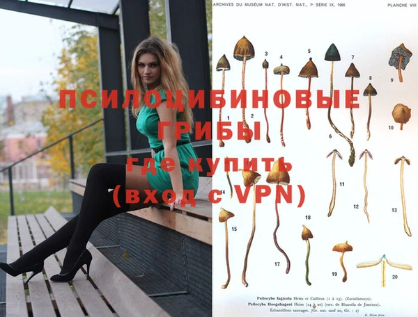 метамфетамин Алексеевка